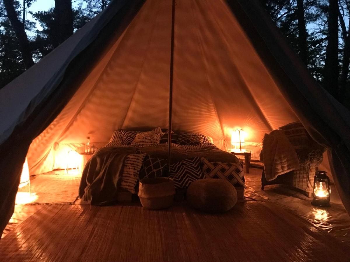 Forest Glamping Värmdö Exteriör bild