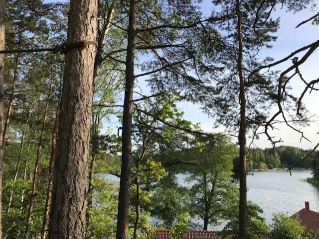 Forest Glamping Värmdö Exteriör bild
